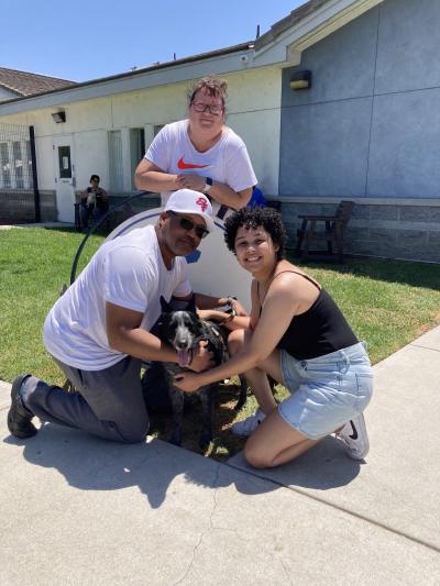 Yogi the dog getting adopted